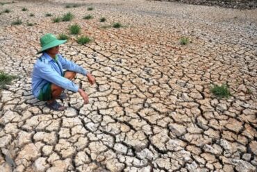 https://www.alsawtnews.com/wp-content/uploads/2026/10/1776454536411_elnino-1776416304143-370x248.jpg