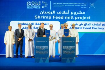 https://www.alsawtnews.com/wp-content/uploads/2026/10/IMG-20261029-WA0015-370x248.jpg